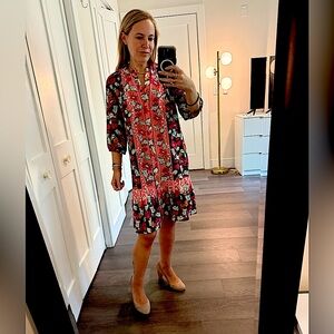 SALONI Oversized Dress in vibrant colors Size 2 but fits 4 & 6 very comfortably